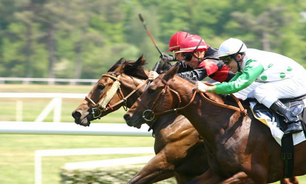 A close-up of a horse race at Genting