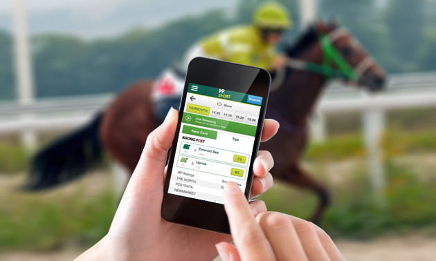 Paddy power horse racing betting odds