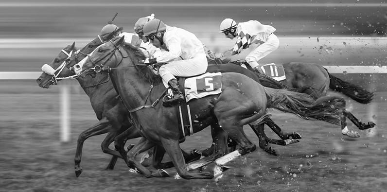 Fighting Fifth horses racing