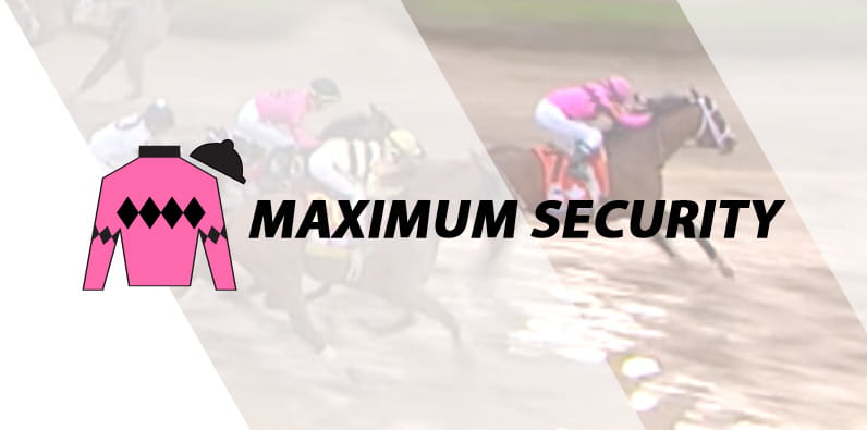 Maximum Security horse jersey