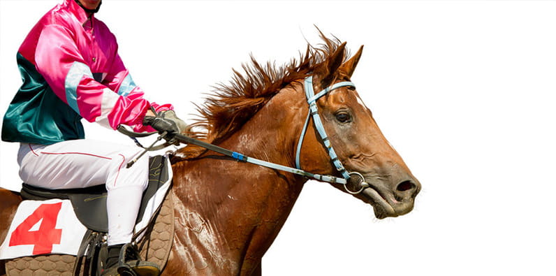 A horse and jockey