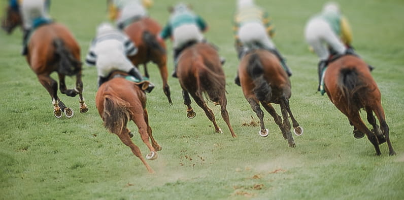 Horses running