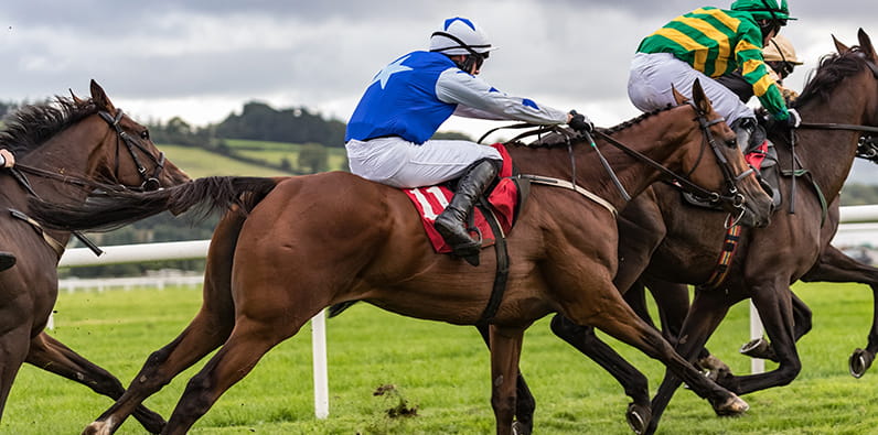 Jockeys riding a horse