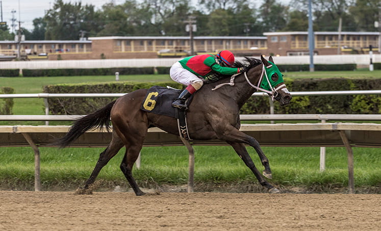 A horse running