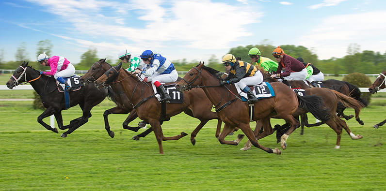 Horses running