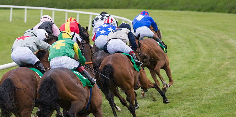 Horses running