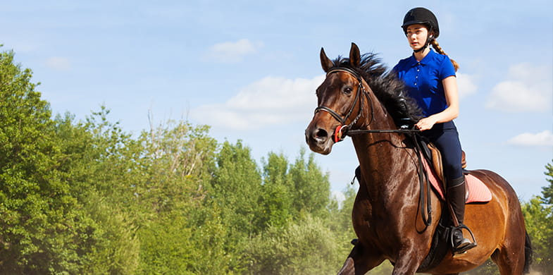 Horse and female jockey