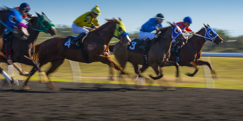 horses racing