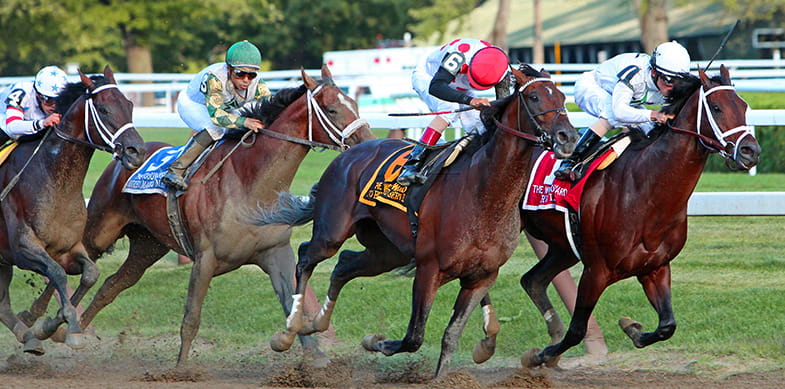 horses racing