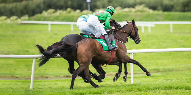 horses racing