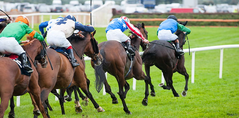 horses running on track