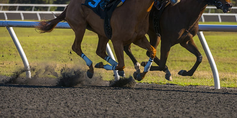 horses racing